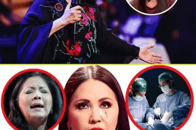 ¡Nadie lo Puede Creer! Ana Gabriel, Ícono de la Canción
