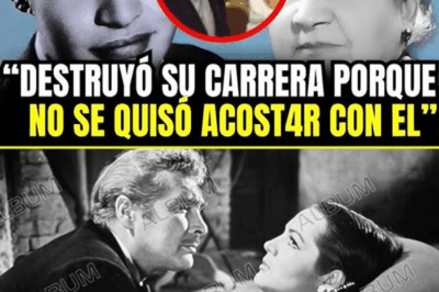 ¡Impactante Revelación! Durante Décadas Nadie Habló