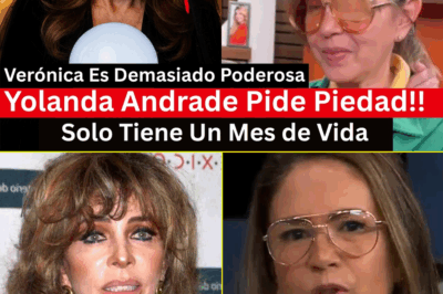 💥 Impactante Versión: Aseguran que Yolanda…