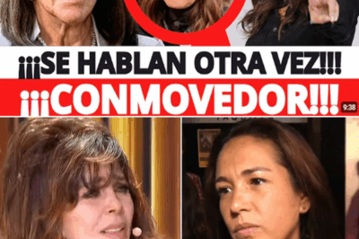 “Después de años de polémicas, declaraciones cruzadas….