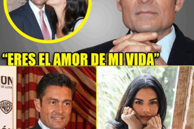 Después de décadas de rumores, especulaciones…