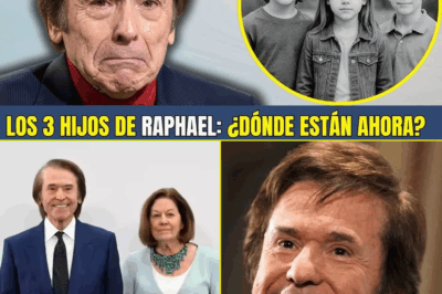 Raphael y su legado familiar: el destino de sus hijos…