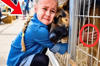 Cuando Lily Parker, con sus manitas temblorosas, ofreció 52 dólares para quedarse con el perro que perteneció a su madre policía fallecida, la multitud contuvo la respiración. Nadie esperaba que una puja tan pequeña desencadenara una reacción capaz de cambiar el destino del animal… y de toda la comunidad.