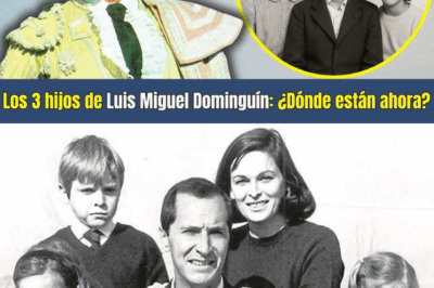 Tras la gloria de los ruedos, Luis Miguel Dominguín dejó…