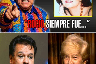 Antes de morir, Juan Gabriel confesó los motivos del conflicto