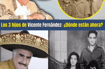 Vicente Fernández dejó un imperio musical, pero también….