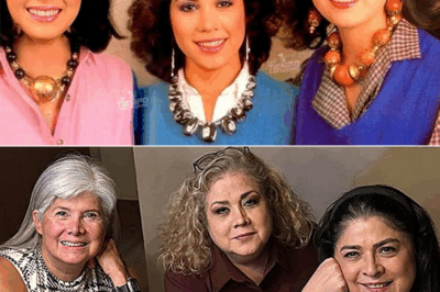 😱💔 “De íconos de los 80 a figuras actuales: Marcela, Gaby y Victoria Ruffo….