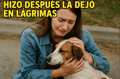 Pagó solo 5 dólares por un perro herido y abandonado en una carretera rural. Pensaba que simplemente le daría comida y cuidados básicos… pero lo que ocurrió después cambió su vida para siempre. La conexión que desarrollaron, la verdad que descubrió y la sorprendente transformación del animal la hicieron llorar de emoción y dejaron a todos los que conocieron la historia completamente impactados.