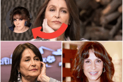 La verdad detrás de Daniela Romo: amor secreto y soledad