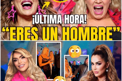 Ninel Conde hunde su carrera con frase polémica sobre Wendy Guevara