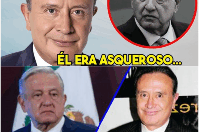 🔥 “A los 73 años, Rocha confiesa sus rencores más oscuros y ocultos”