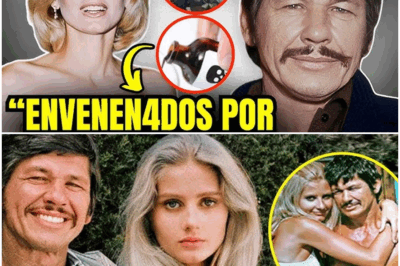 😱 La trágica muerte de Charles Bronson y su esposa deja al mundo helado 🚨
