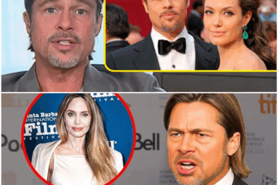 ¡La Esperada Confesión! Brad Pitt Habla Abiertamente sobre Angelina Jolie Tras 8 Años de su Divorcio
