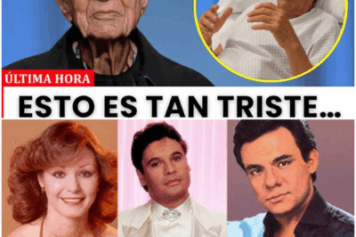 A los 76 años, José María Napoleón Sorprende al Revelar a Cinco Personas que Odia