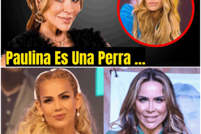 ¡Impactante! Aylin Mujica Rompe su Silencio a los 50 Años ¡Revelaciones Inesperadas que Dejan al Mundo Conmocionado!