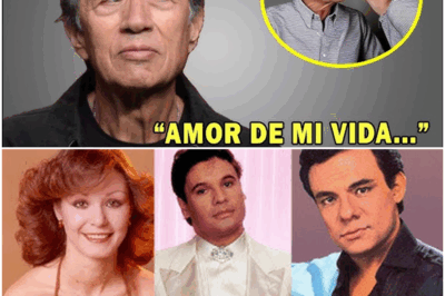 🔥 “A los 77 años, Napoleón confiesa sus rencores más oscuros”