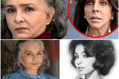 A los 78 años, Ana Martín rompe el silencio con una lista de nombres que estremece al mundo del espectáculo: “Ellos me traicionaron”; cinco figuras reconocidas del cine, la televisión y la música mexicana en la mira de la actriz. “No los perdonaré nunca”, asegura en una confesión que sacude décadas de relaciones, secretos, rencores y verdades ocultas detrás de cámaras.