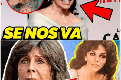 A los 71 años, Verónica Castro rompe el silencio y revela los nombres de cinco personas que más odia: traiciones, humillaciones, envidias y heridas que nunca sanaron. La estrella confiesa que por décadas calló verdades para proteger su imagen, pero ahora dice: “No tengo nada que perder”. Las figuras que señala sorprenderán incluso a sus fanáticos más fieles.