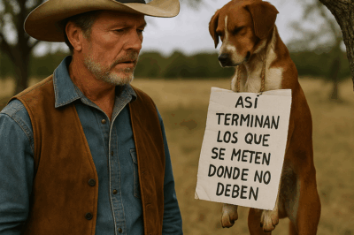 Ranchero halla perro colgado de un árbol con un cartel secreto