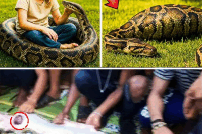 It began as an ordinary afternoon in a quiet backyard. A little girl sat on the grass, her laughter echoing under the golden sun.