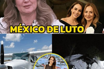 El fatal accidente de avioneta que terminó con la vida de una querida