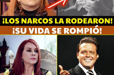 Años de rumores y especulaciones terminan cuando Lina Santos grita: “¡Nadie sabe mi verdad!”. Lo que revela sobre narcotráfico, un accidente oculto y verdades enterradas por décadas es tan explosivo que cambia para siempre la percepción sobre su vida y desata una tormenta de teorías y polémicas imparables.