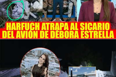 La captura del sicario que derribó la avioneta de Débora Estrella