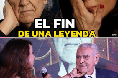 La dolorosa despedida de Kate del Castillo a Eric del Castillo por su estado de salud