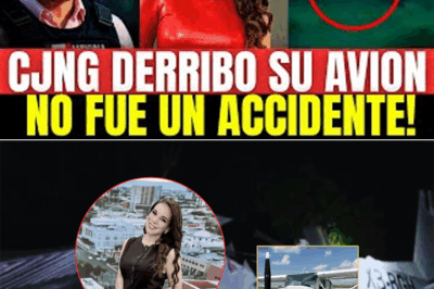 El sabotaje que estremeció a México: Harfuch, el CJNG y la avioneta de Débora Estrella