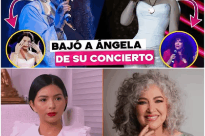 Inédito y polémico: Amanda Miguel interrumpe un espectáculo