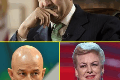 Carlos Salinas de Gortari a los 80: la confesión más esperada