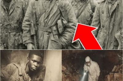 El pelotón olvidado: la historia enterrada durante medio siglo en un bosque francés