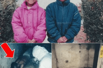 Las gemelas perdidas: 30 años de horror oculto tras las paredes de un vecindario respetable