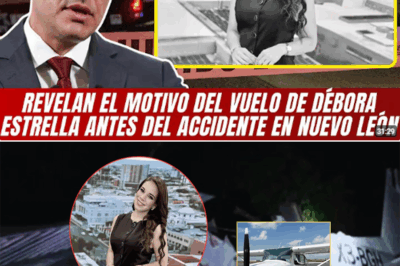Harfuch revela el motivo del vuelo de Débora Estrella antes del accidente en Nuevo León