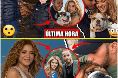 Lewis Hamilton sorprende a Shakira al adoptar un perrito para sus hijos