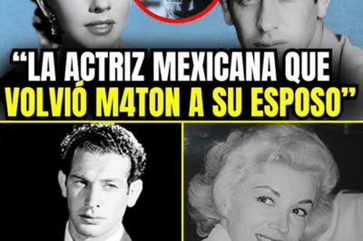 💔🔥 La diva Evangelina Elizondo sorprende con su confesión más dolorosa: dejó a Wolf Ruvinskis cuando más la necesitaba. Una verdad guardada por años que ahora sale a la luz y marca para siempre la memoria de dos íconos del cine y la televisión mexicana.