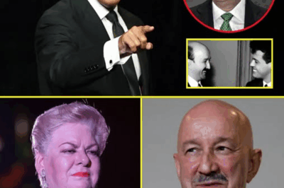 A los 55 años, Luis Miguel finalmente confirma un macabro misterio: la verdad que nos ha dejado asombrados