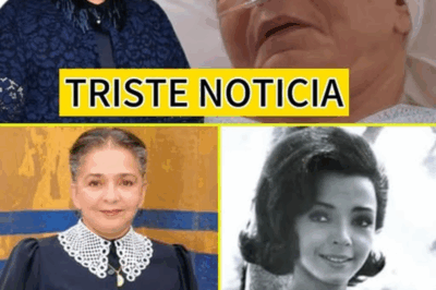 ¡Enigma total! Ana Martín sacude a sus seguidores con un episodio inesperado que despierta incertidumbre. Entre versiones encontradas, silencio absoluto y un halo de misterio, la noticia de un supuesto accidente deja más dudas que certezas. El público exige respuestas y el secreto comienza a salir a la luz.