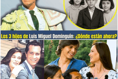 “Los hijos de Luis Miguel DominguÃn: secretos ocultos tras su legado”