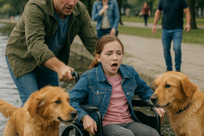 “El padre empujó a su hija en silla de ruedas… y el perro salvó su vida”