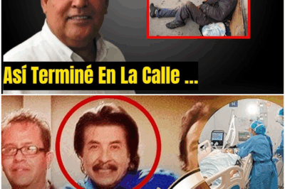 “A sus 72 años, Hilde Lara rompe el silencio y deja al mundo conmocionado”