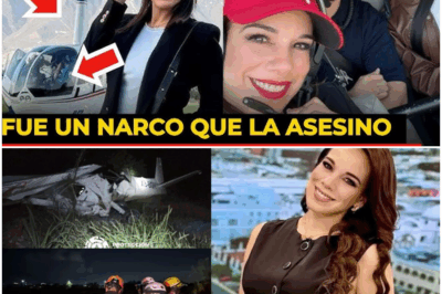 La verdad oculta sobre la avioneta de Débora Estrella estremece