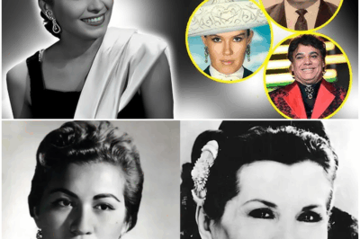 “Antes de morir, Lola Beltrán reveló los 7 artistas que más admiraba”