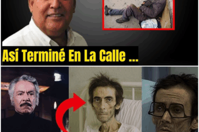 A sus 72 años, Hilde Lara rompe el silencio y deja al mundo en shock