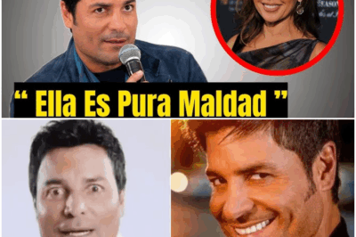 “A sus 57 años, Chayanne revela 5 cantantes que detesta”