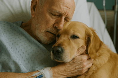 “Su último deseo fue ver a su perro… y lo que pasó conmovió a todos”