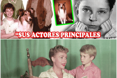 😱 Así lucen HOY los actores de “Lassie” tras casi 70 años del estreno
