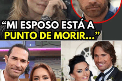 🎭 Artículo: “La pareja de Sebastián Rulli rompe el silencio: la confesión sobre su salud que conmueve al mundo del espectáculo”