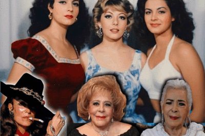 🌟 María Félix, Silvia Pinal y Elsa Aguirre: las eternas diosas del cine de oro mexicano
