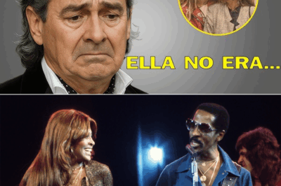 📰 Artículo: “El esposo de Tina Turner revela la verdad oculta tras su partida: secretos, promesas y confesiones jamás escuchadas”